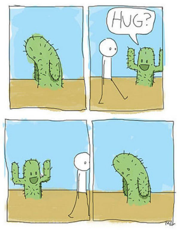 Cactus Hug