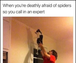 calling in an expert ... 2