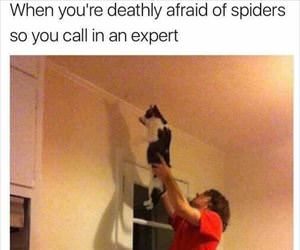 calling in an expert