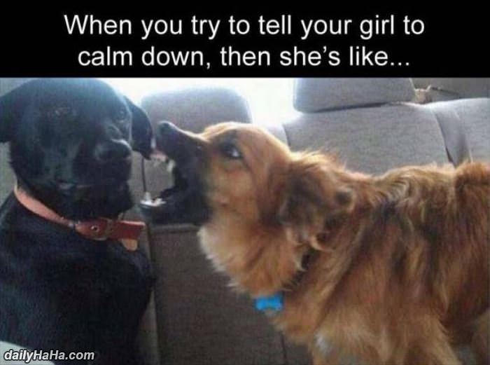 calm down would you funny picture