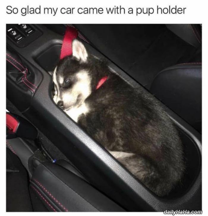 came with a pup holder funny picture