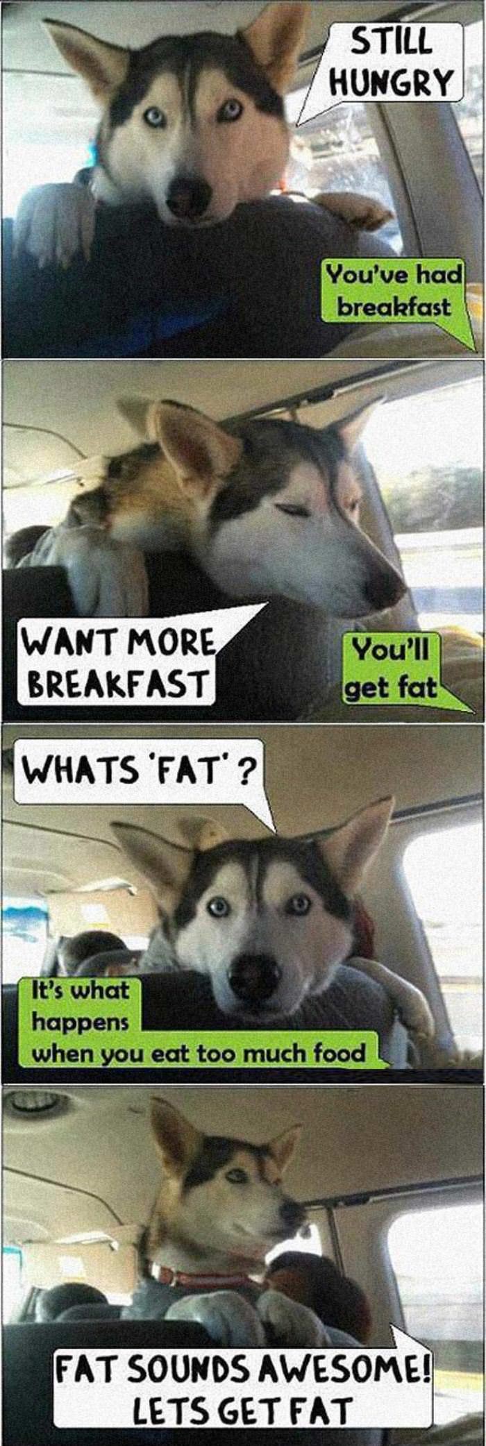 can we get breakfast funny picture