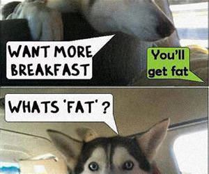 can we get breakfast funny picture