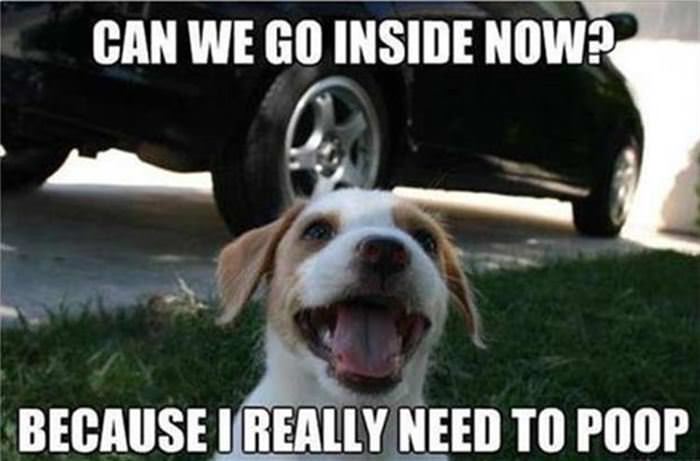 can we please go inside now funny picture