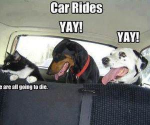 Car Rides funny picture
