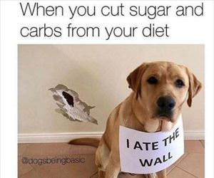 carbs diet
