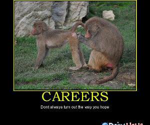 Careers funny picture