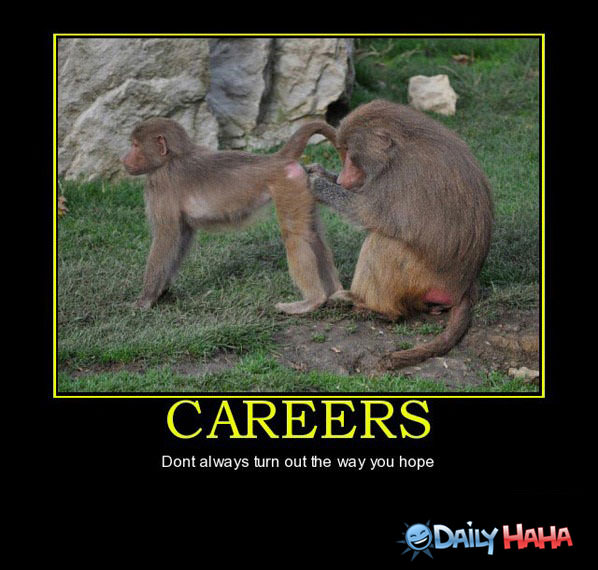 Careers funny picture