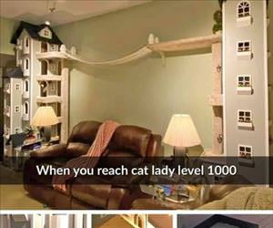 cat lady level