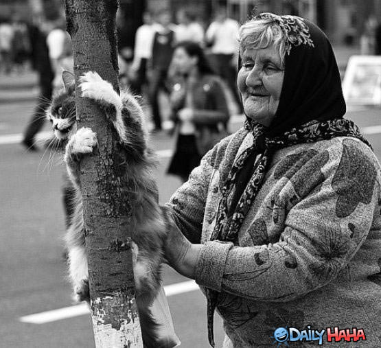 Cat does not want that