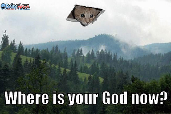 Ceiling Cat God