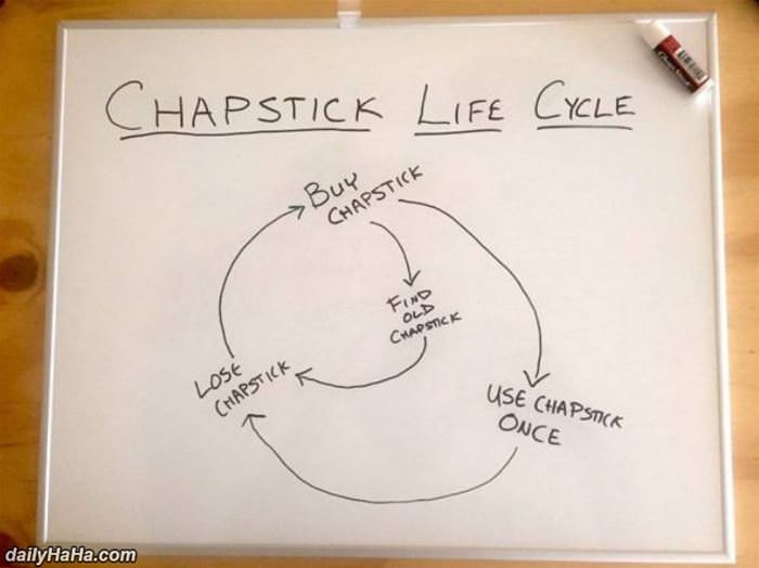 chapstick life cycle funny picture