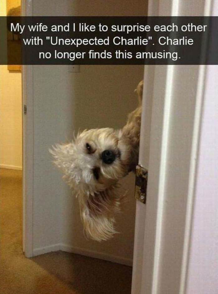 charlie no longer finds this fun