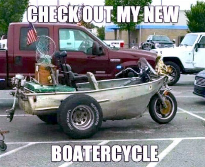 Looky Here funny picture