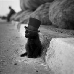 chilling in my top hat