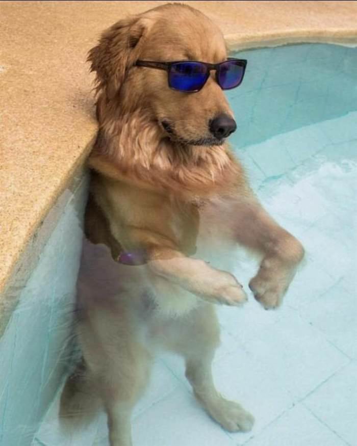 chilling in the pool