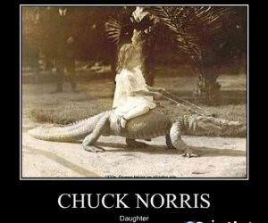 Chuck Norris Offspring funny picture