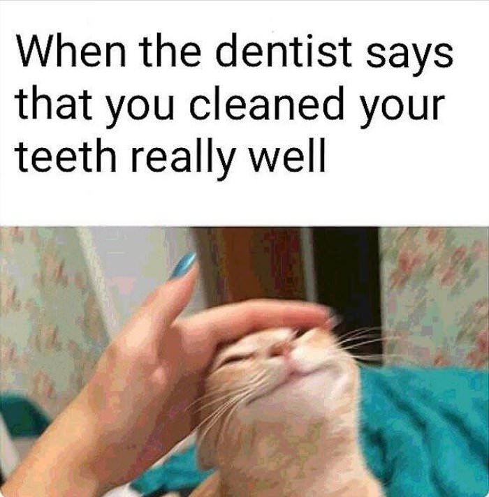 cleaned your teeth really well