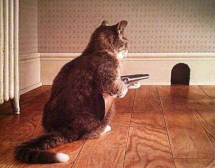 come-out-come-out come out come out