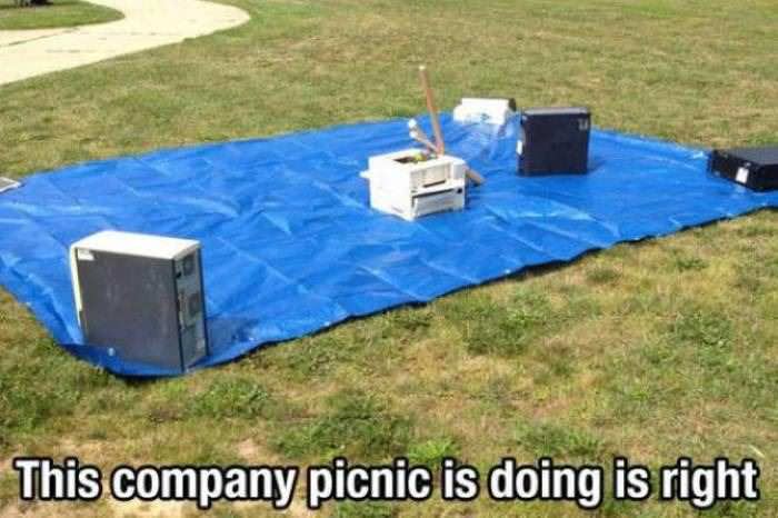 company picnic funny picture