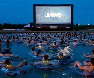 cool place to watch jaws
