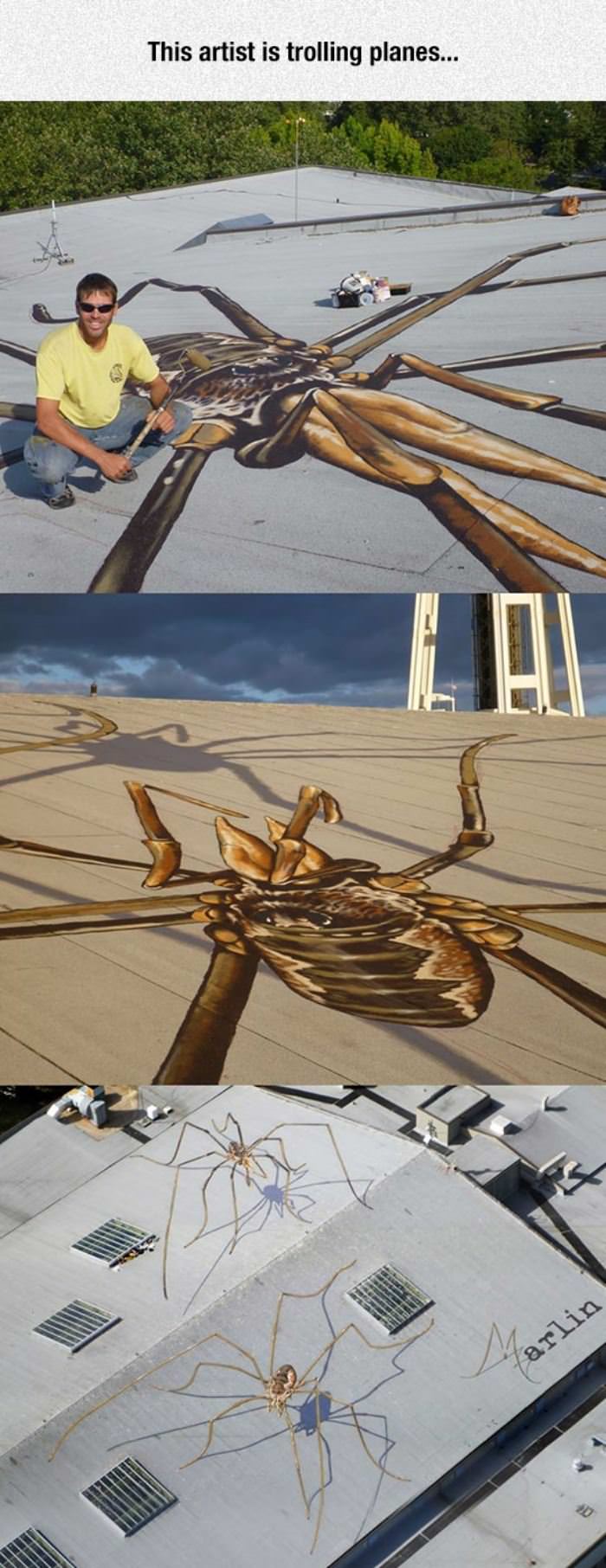 cool spider art funny picture