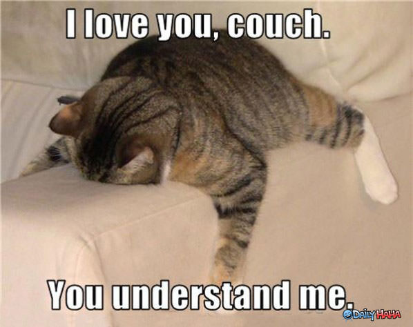 couch-cat.jpg