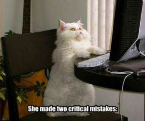 Critical Mistakes funny picture