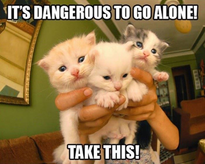 dangerous-to-go-alone funny picture