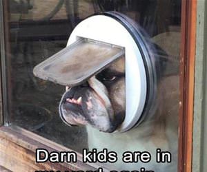 darn kids funny picture