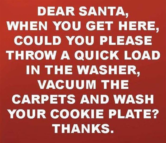 dear santa what i really want funny picture