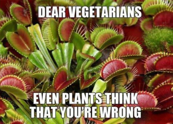 dear vegetarians funny picture