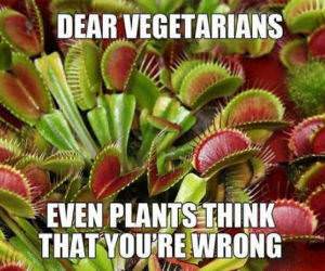 dear vegetarians funny picture