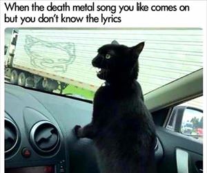 death metal sing along