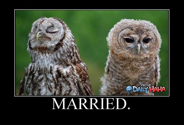Married funny picture