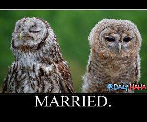 Married funny picture