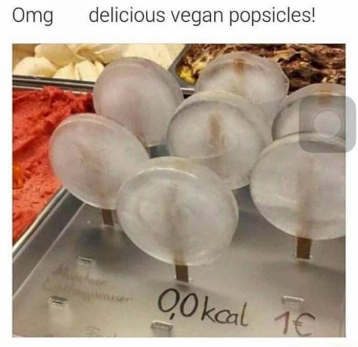 delicious vegan popsicle funny picture