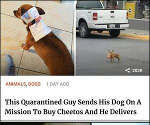 delivered the cheetos