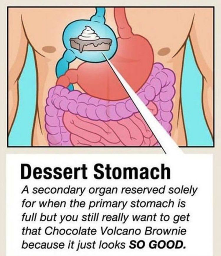 dessert stomach diagram funny picture