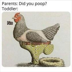did you poop