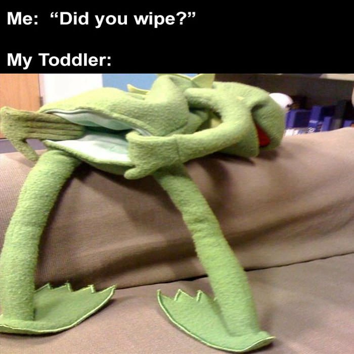 did you wipe