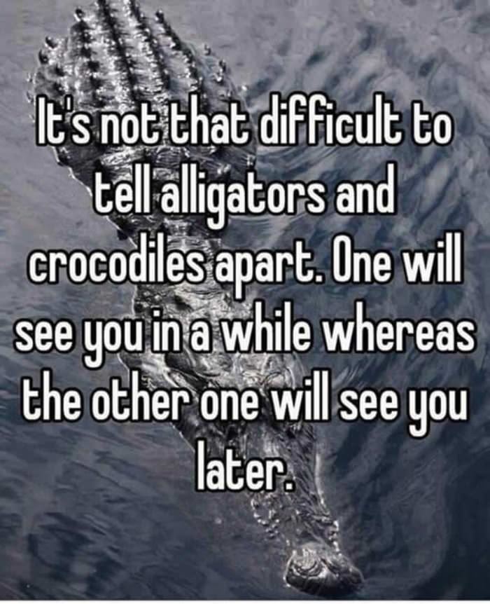 difference between alligators and 