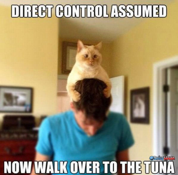 Direct Control funny picture