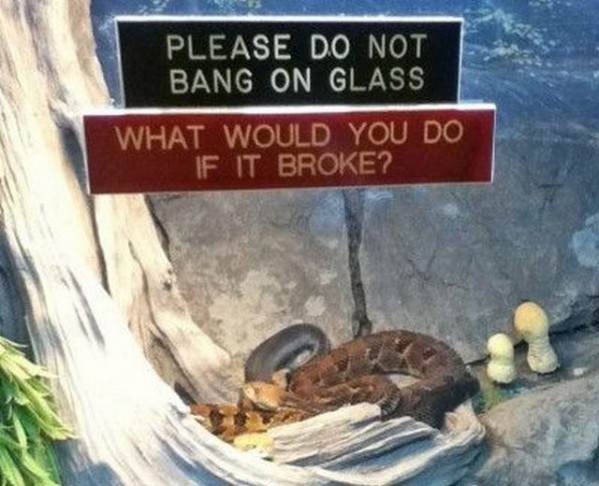 Do not Bang On Glass funny picture