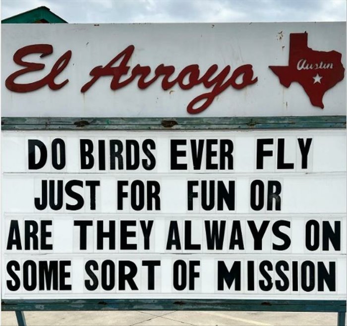do they fly for fun