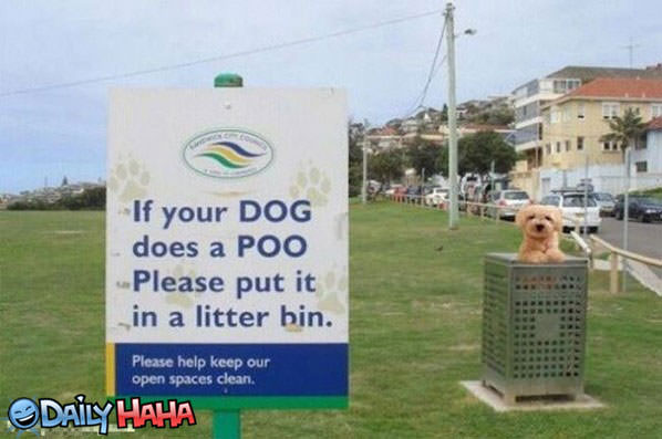 Dog Poo funny picture