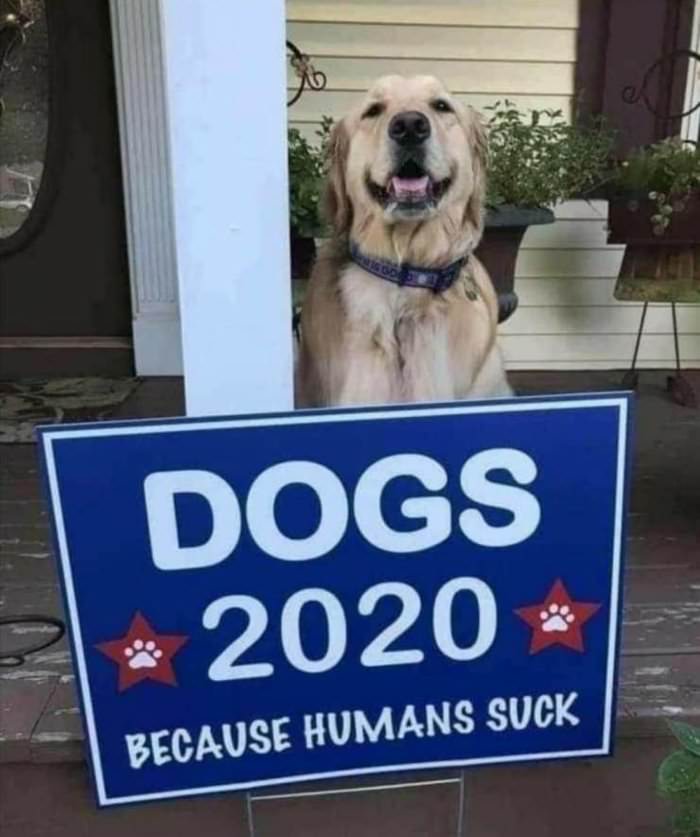 dogs 2020