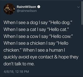 dogs and cats are so much better