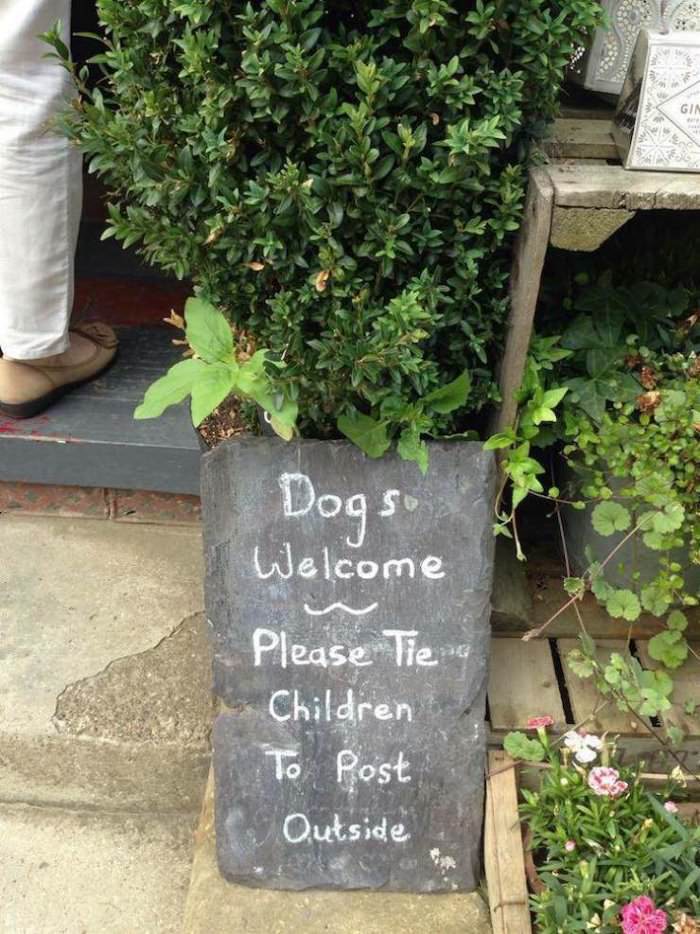 dogs are welcome ... 2