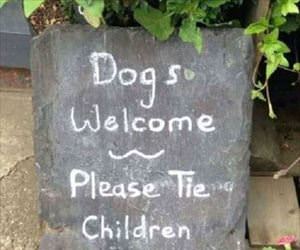 dogs are welcome